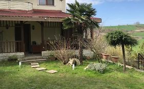 Havalimanina Cok Yakin Villada Oda